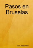 Pasos en Bruselas