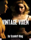 Vintage Vixen -- A MILF Erotica (eBook, ePUB)