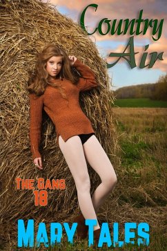 Cover Country Air (The Gang, #18) (eBook, ePUB)