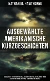 Ausgewählte amerikanische Kurzgeschichten (eBook, ePUB)