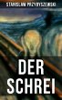 DER SCHREI (eBook, ePUB) - Bild 1