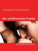 Der verführerische Fremde (eBook, ePUB)