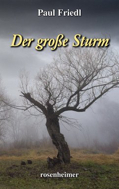 Der große Sturm (eBook, ePUB) - Friedl, Paul