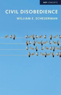 Civil Disobedience - Scheuerman, William E.