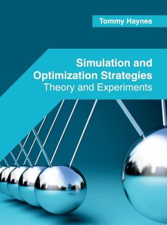 Simulation and Optimization Strategies: Theory and Experiments