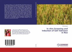 In vitro Screening and Induction of Salt Tolerance in Rice