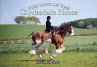 For Love of the Clydesdale Horse - Bild 1