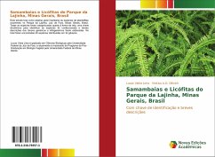 Samambaias e Licófitas do Parque da Lajinha, Minas Gerais, Brasil - Vieira Lima, Lucas;A.O. Dittrich, Vinícius