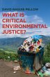 What Is Critical Environmental Justice? - Bild 1