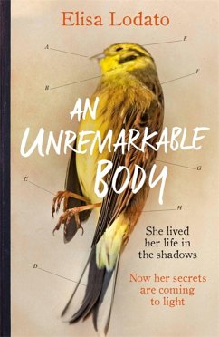 An Unremarkable Body - Lodato, Elisa