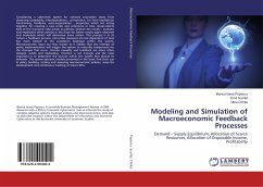 Modeling and Simulation of Macroeconomic Feedback Processes