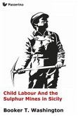 Child Labour And the Sulphur Mines in Sicily (eBook, ePUB)