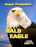 Bald Eagle (Super Predators) (eBook, ePUB)