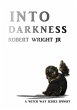 Into Darkness (eBook, ePUB) - Bild 1
