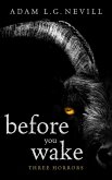 Before You Wake: Three Horrors (eBook, ePUB)
