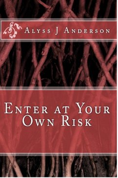 Enter At Your Own Risk (eBook, ePUB) - Anderson, Alyss J.