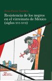 Resistencia de los negros en el virreinato de México (siglos XVI-XVII) (eBook, ePUB)