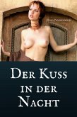 Der Kuss in der Nacht (eBook, ePUB)