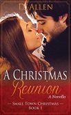 A Christmas Reunion (Small Town Christmas, #1) (eBook, ePUB)