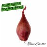 That Shallot - Bild 1