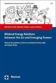 Bilateral Energy Relations between the EU and Emerging Powers