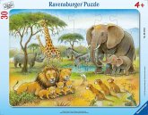 Ravensburger Kinderpuzzle - 06146 Afrikas Tierwelt - Rahmenpuzzle für Kinder ab 4 Jahren, mit 30 Teilen