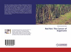 Red Rot: The Cancer of Sugarcane