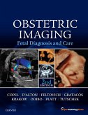 Obstetric Imaging: Fetal Diagnosis and Care E-Book (eBook, ePUB)