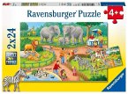 Ravensburger Kinderpuzzle - 07813 Ein Tag im Zoo - Puzzle für Kinder ab 4 Jahren, mit 2x24 Teilen