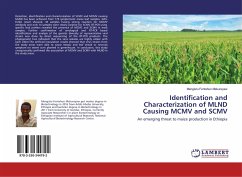 Identification and Characterization of MLND Causing MCMV and SCMV