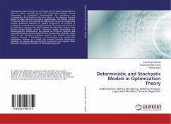Deterministic and Stochastic Models in Optimization Theory