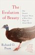 The Evolution of Beauty - Bild 1