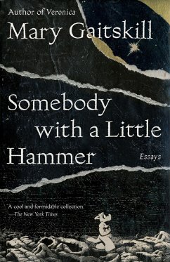 Somebody with a Little Hammer - Gaitskill, Mary