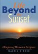 LIFE BEYOND THE SUNSET - Bild 1