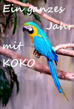 Cover Ein ganzes Jahr mit Koko (eBook, ePUB)