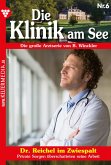 Dr. Reichel im Zwiespalt (eBook, ePUB)
