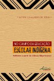 No campo da educação escolar indígena (eBook, ePUB)