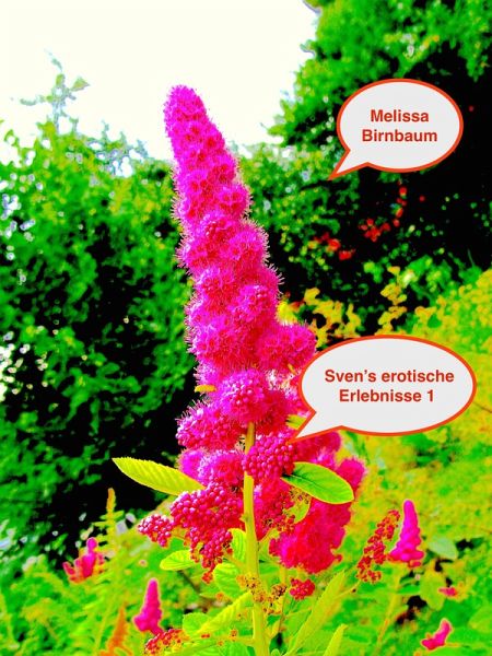 Sven's erotische Erlebnisse 1 (eBook, ePUB)