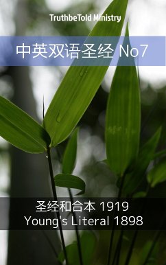 中英双语圣经 No7 (eBook, ePUB) - Ministry, TruthBeTold