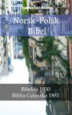 Norsk-Polsk Bibel (eBook, ePUB)