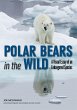 Polar Bears in the Wild - Bild 1