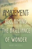Amazement: Reclaiming the Brilliance of Wonder: Volume 1