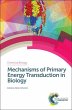 Mechanisms of Primary Energy... - Bild 1