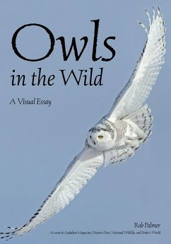 Owls in the Wild - Palmer, Rob