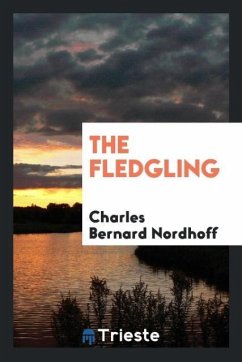 The fledgling - Nordhoff, Charles Bernard