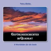 Gefühlsgeschichten im Quadrat (eBook, ePUB)