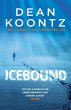 Icebound - Bild 1