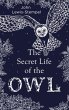 The Secret Life of the Owl - Bild 1