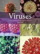 Viruses (eBook, ePUB) - Bild 1