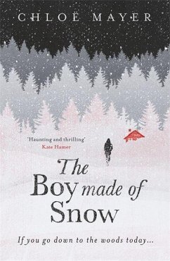 The Boy Made of Snow - Mayer, Chloe